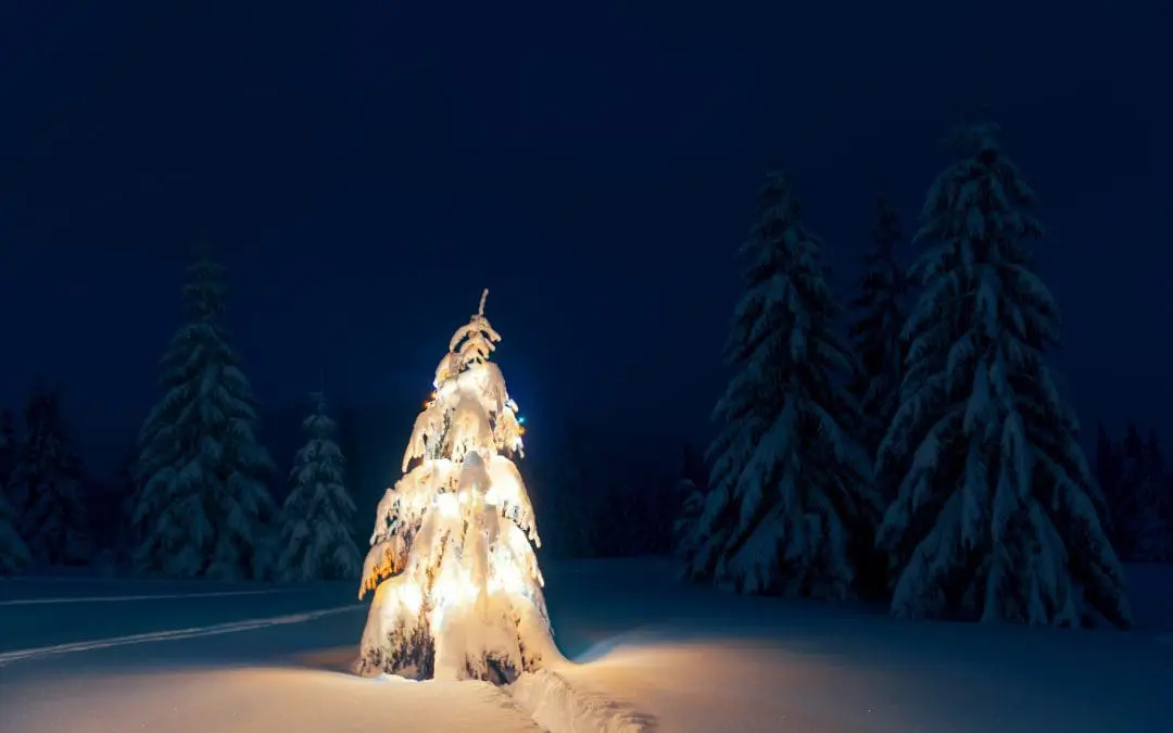 Adventsgeschichte, 2. Teil: Arthur & die Weihnachtsmänner